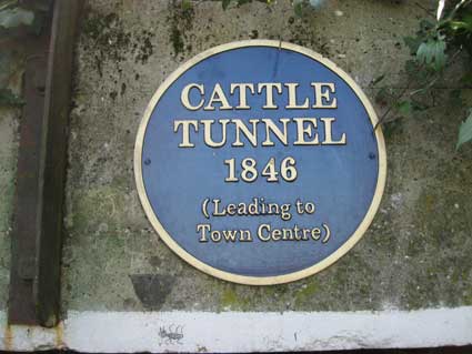 Ipswich Historic Lettering: Needham Cattle Tunnel 2