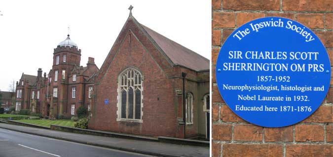 Ipswich Historic Lettering: Charles Sherrington plaque