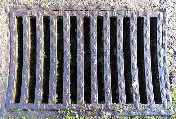 Ipswich Historic Lettering: Chistchurch Park Cocksedge drain cover