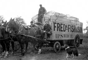 Ipswich Historic Lettering: Frederick Fish & Sons