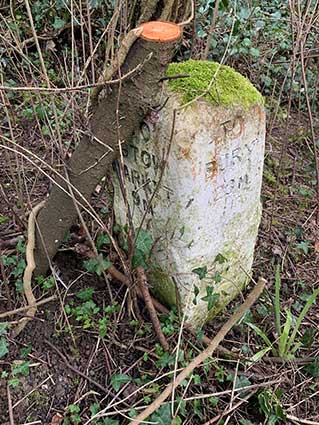 Ipswich Historic Lettering: Milestone Old Norch Rd 3