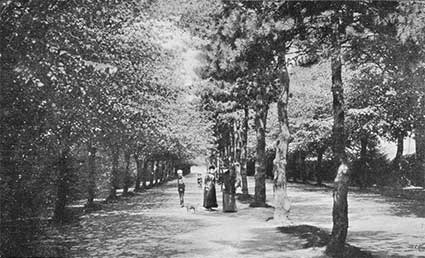 Ipswich Historic lettering:  Promenade 1909