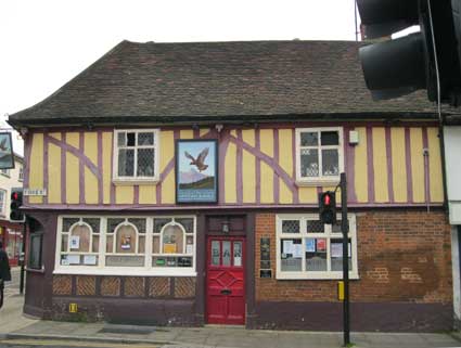 Ipswich Historic Lettering: Spread Eagle 1