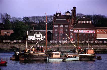 Ipswich Historic Lettering: Tolly Brewery 1960s