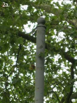 Ipswich Historic Lettering: Tram poles 7a